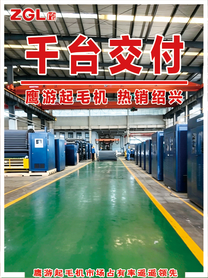 千台交付 0029cc金沙贵宾会起毛机 热销随州